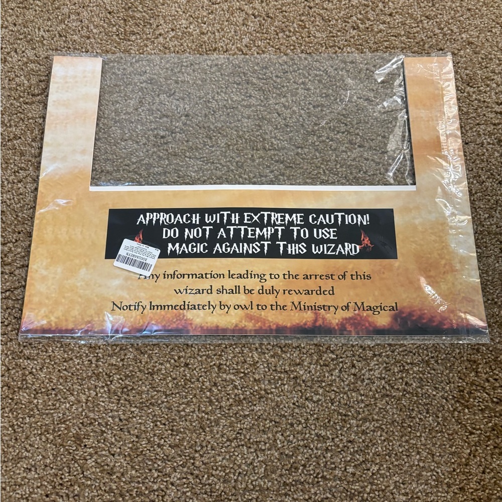 Oriental trading Harry Potter birthday supplies!
